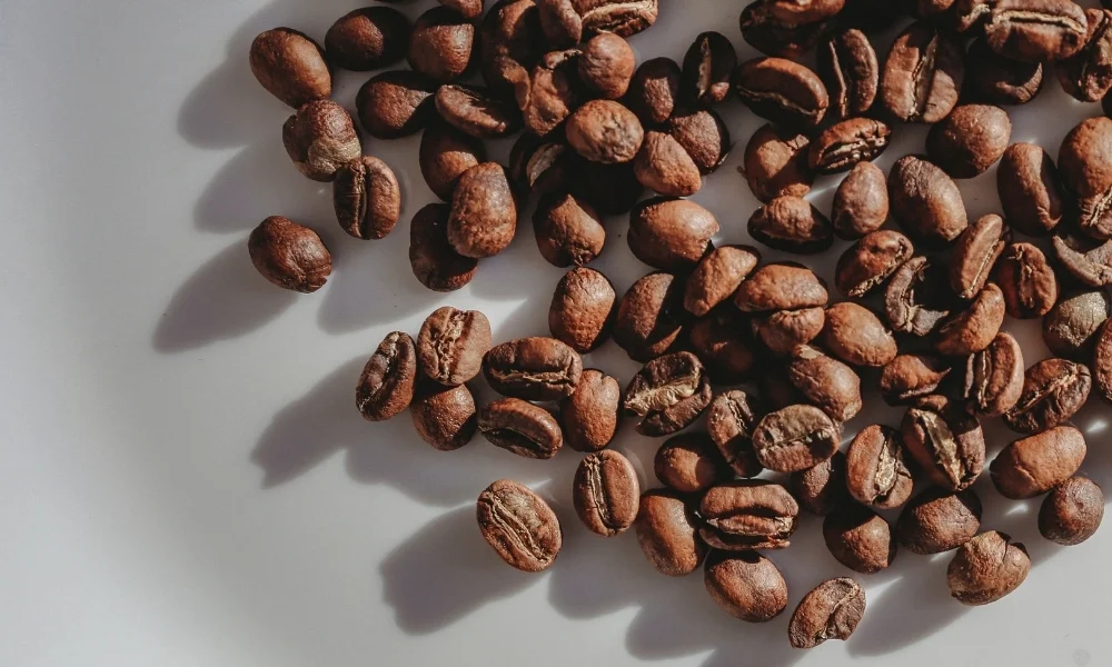 Buy Coffee Beans in Bulk